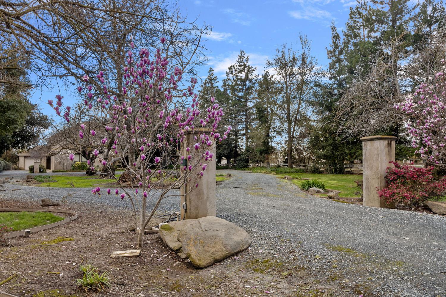 5724 Parker Road Modesto, CA 95357 - Photo 56 of 69 a view of a yard with plants and trees