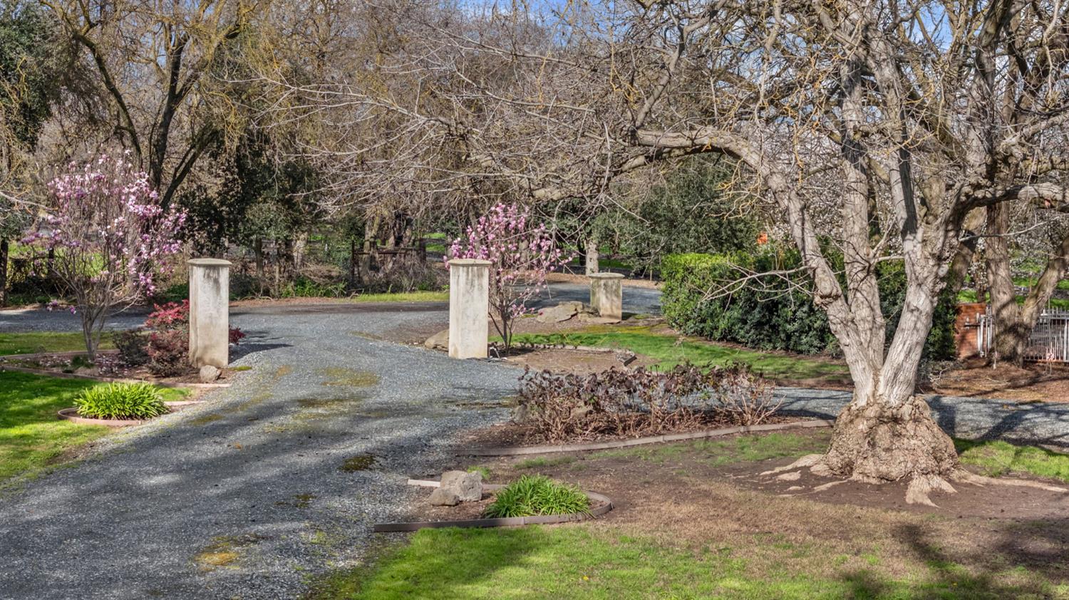 5724 Parker Road Modesto, CA 95357 - Photo 69 of 69 a table and chairs sitting in the middle of a yard