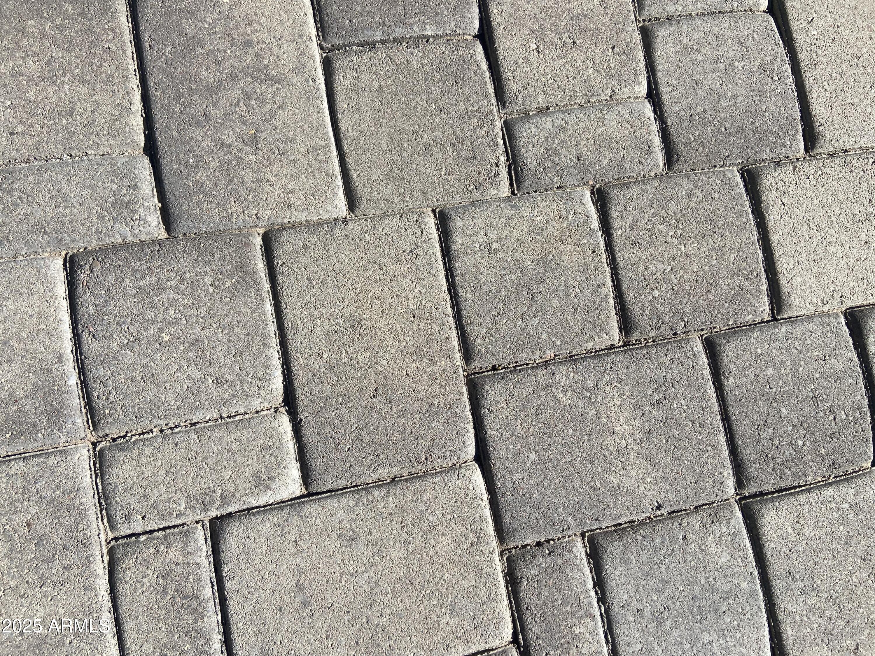 1549 West Yurok Avenue Apache Junction, AZ 85119 - Photo 29 of 33 IMG_5515