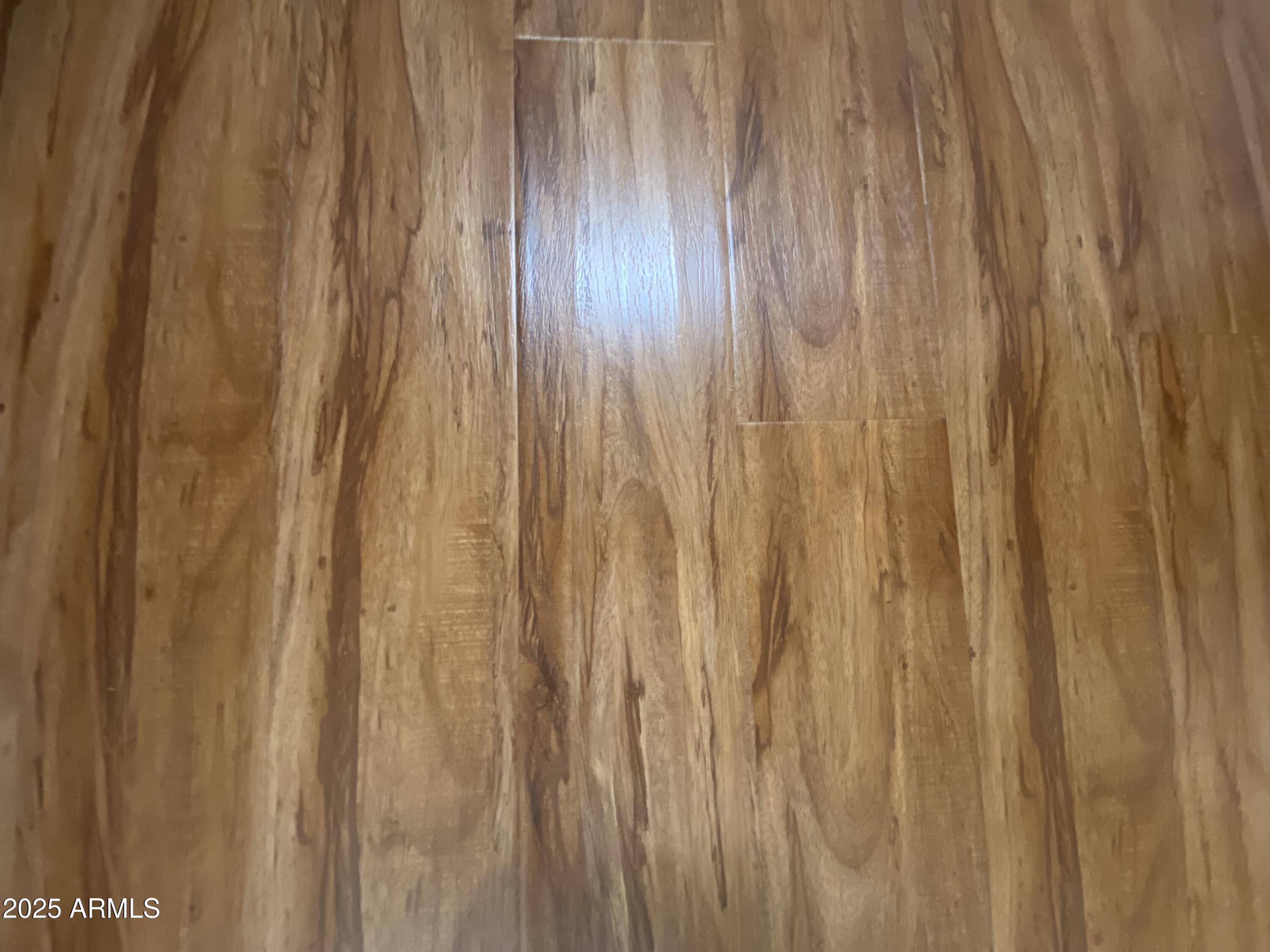 1549 West Yurok Avenue Apache Junction, AZ 85119 - Photo 6 of 33 IMG_5485