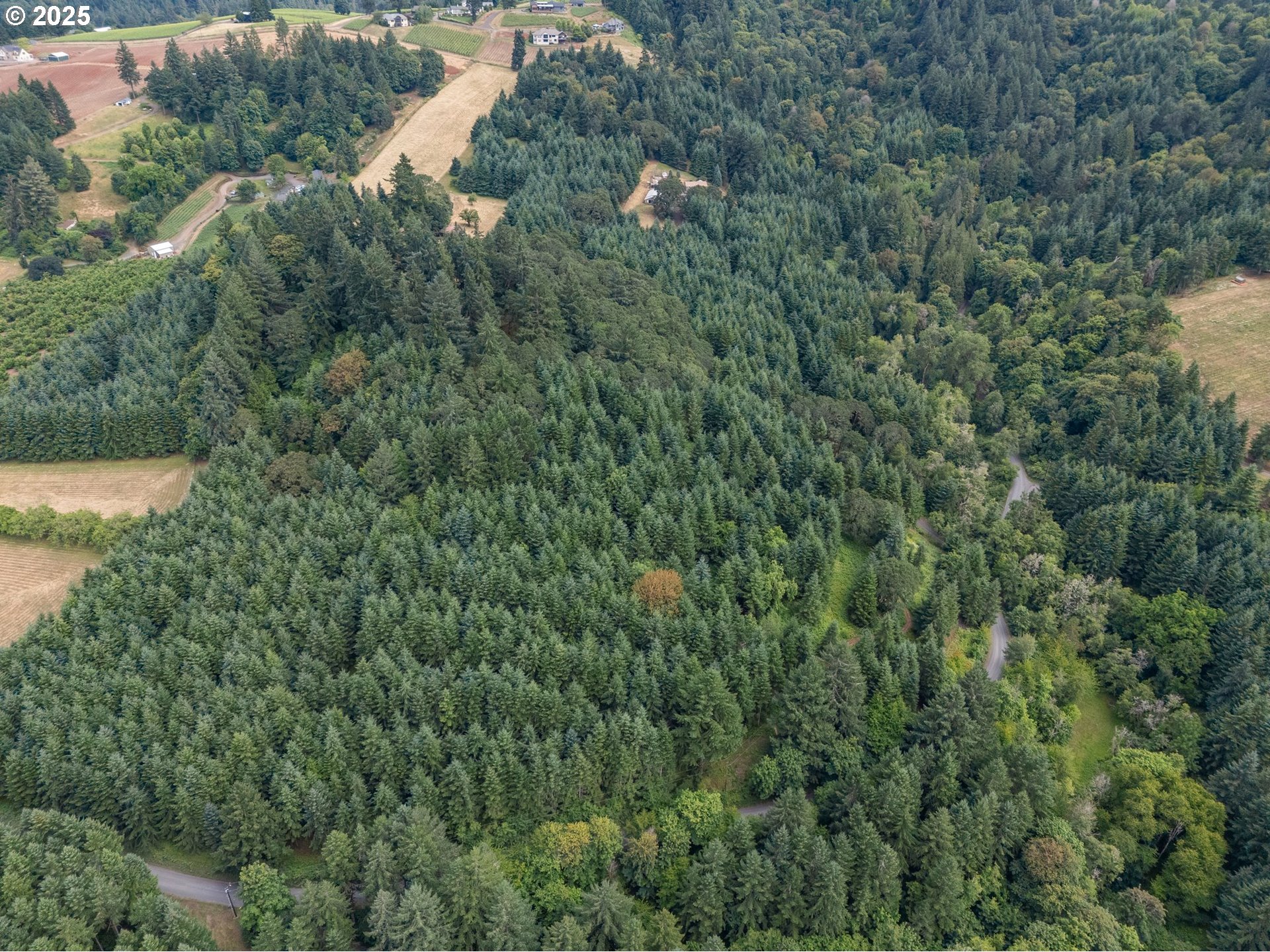 19791 Northeast Sunnycrest Road Newberg, OR 97132 - Photo 40 of 40 an aerial view of residential house with outdoor space and trees all around