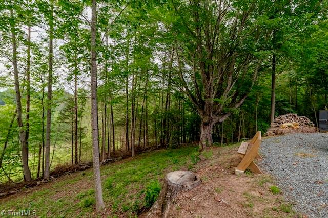 1779 Mountain View Road King, NC 27021 - Photo 32 of 38