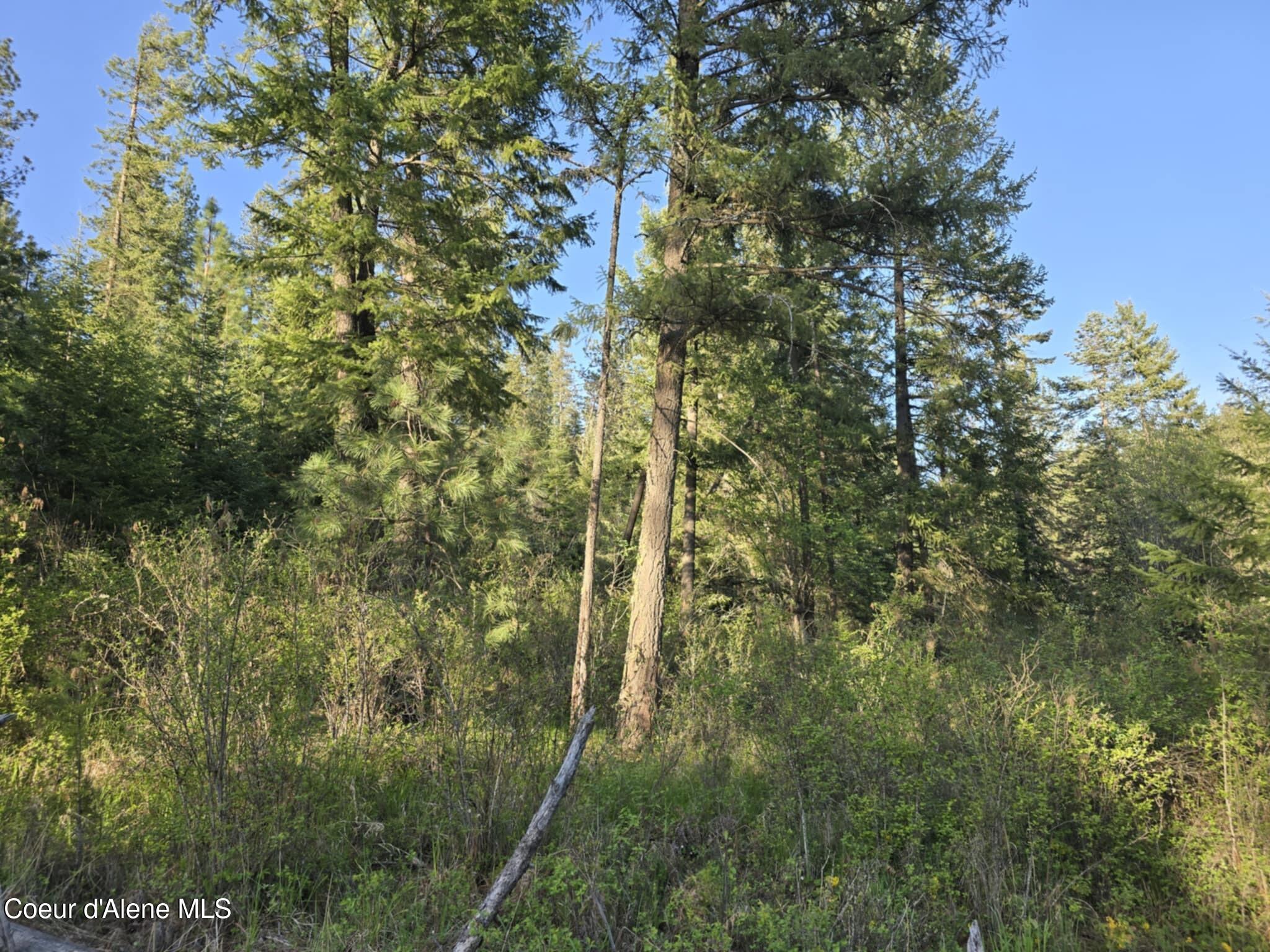 Nka East Deer Road Harrison, ID 83833 - Photo 12 of 23 NKA Deer Rd