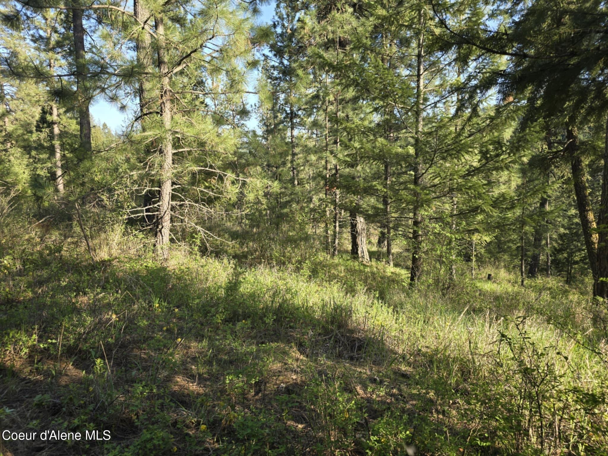 Nka East Deer Road Harrison, ID 83833 - Photo 13 of 23 NKA Deer Rd