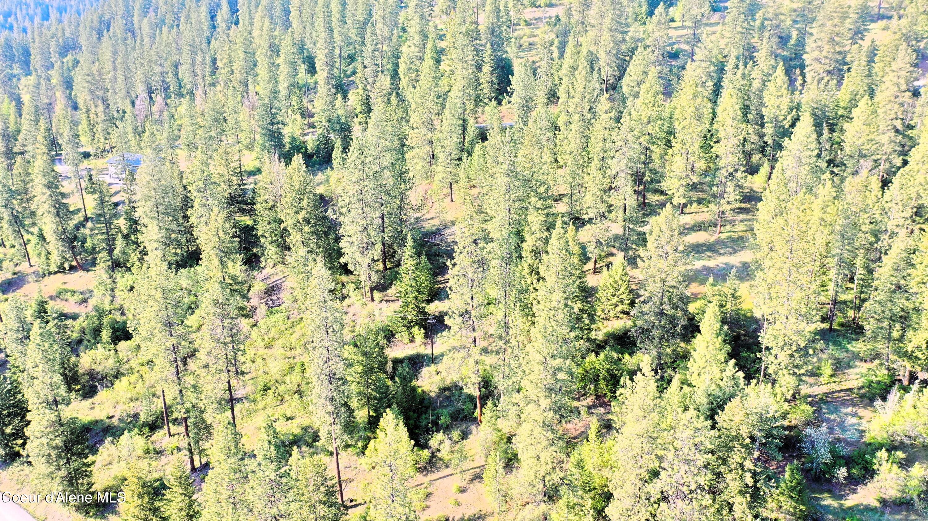 Nka East Deer Road Harrison, ID 83833 - Photo 14 of 23 NKA Deer Rd