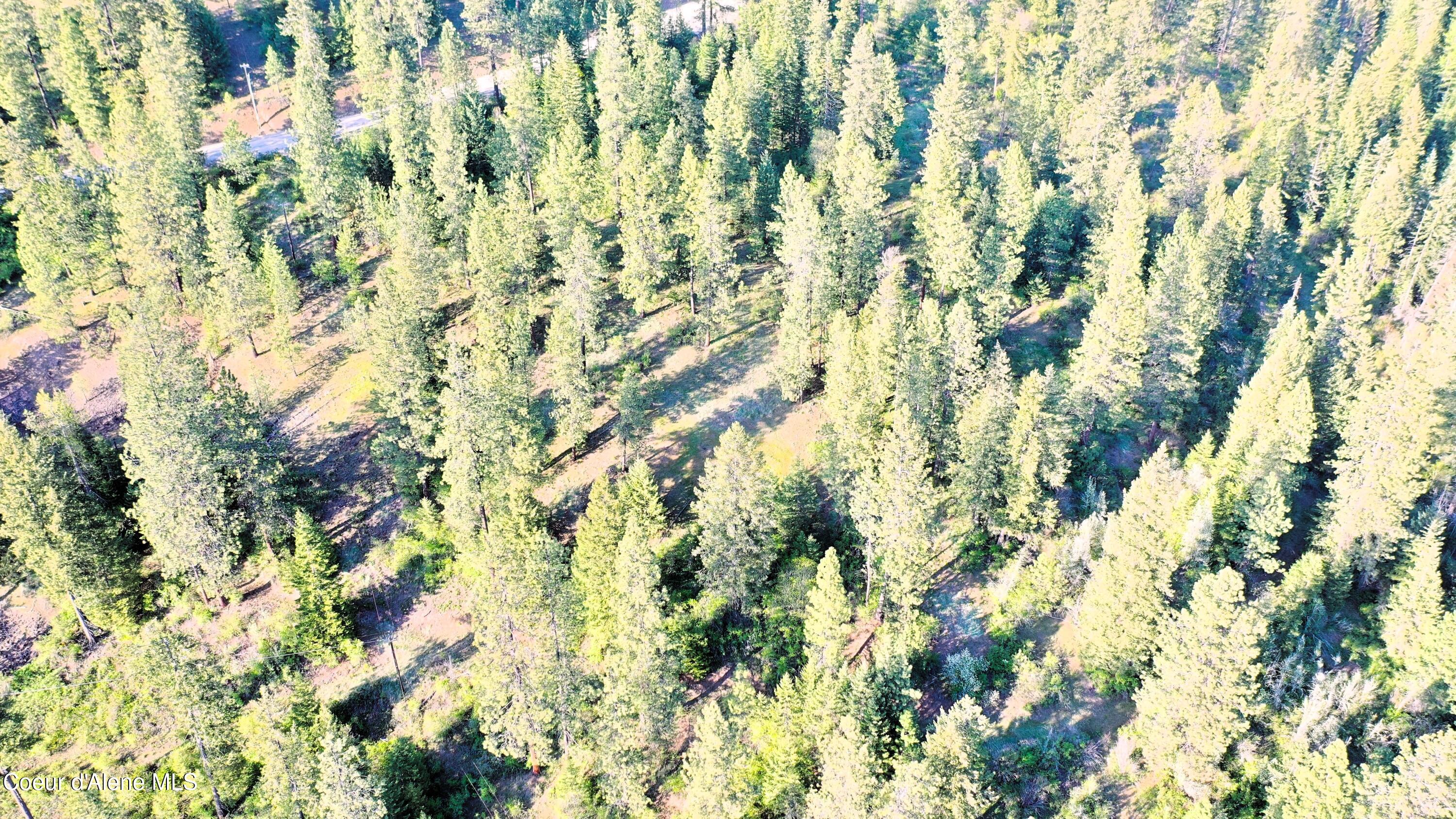 Nka East Deer Road Harrison, ID 83833 - Photo 15 of 23 NKA Deer Rd