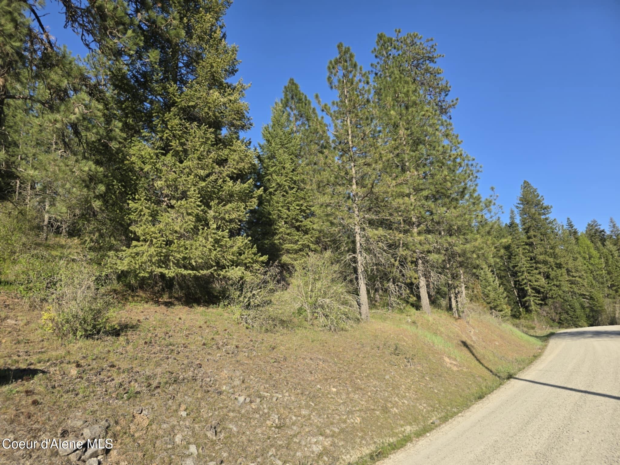 Nka East Deer Road Harrison, ID 83833 - Photo 17 of 23 NKA Deer Rd