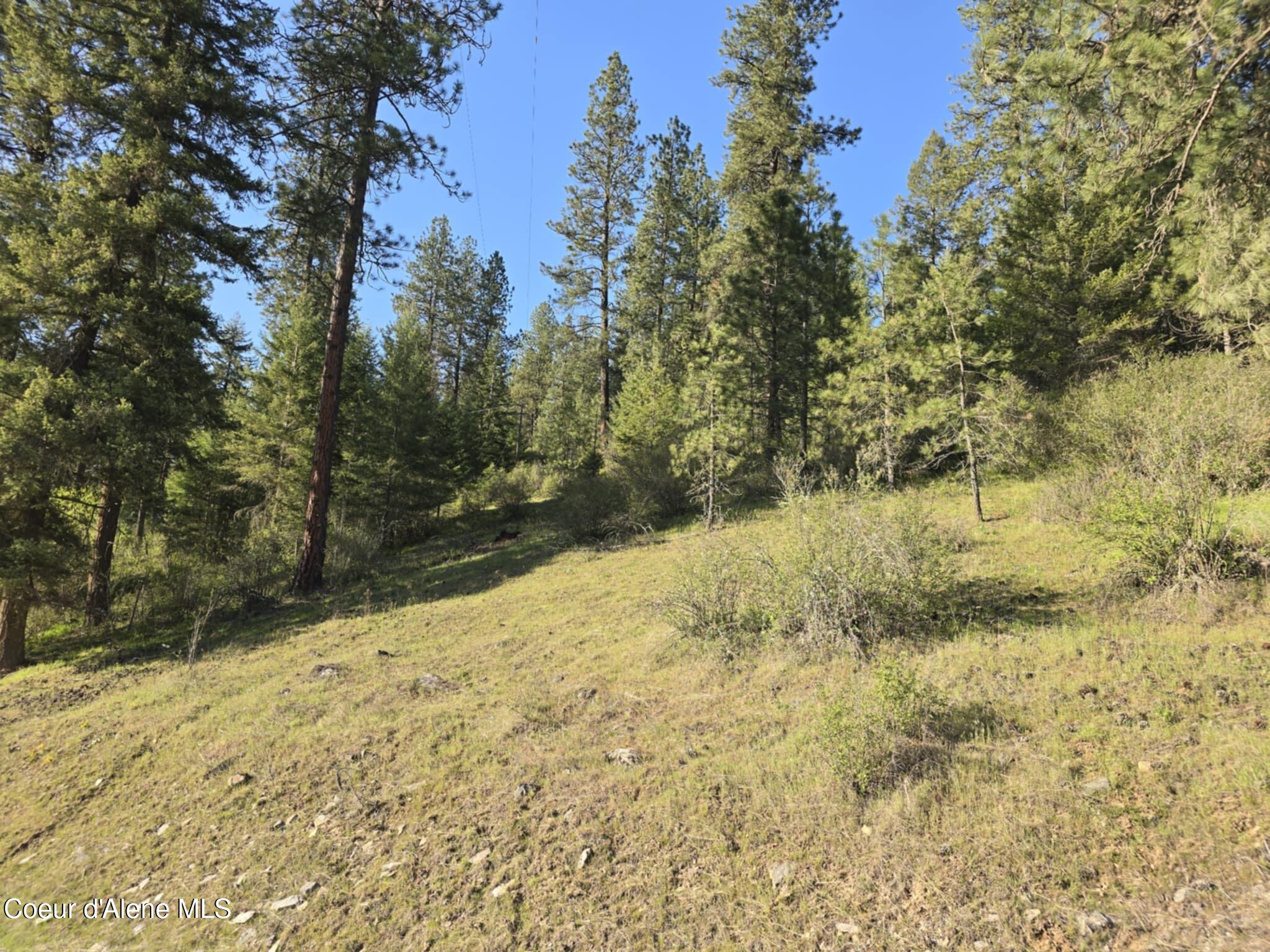 Nka East Deer Road Harrison, ID 83833 - Photo 19 of 23 NKA Deer Rd