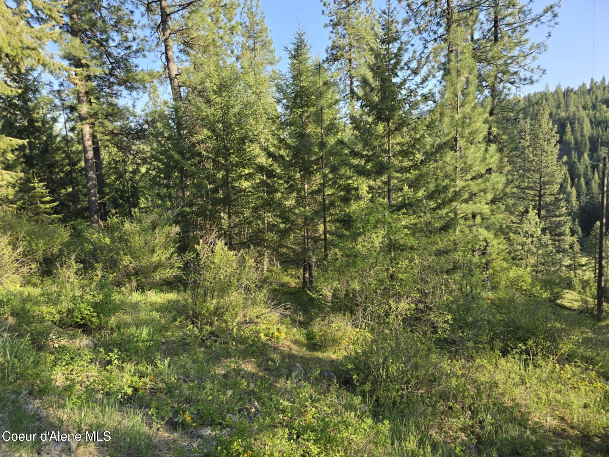 Nka East Deer Road Harrison, ID 83833 - Photo 20 of 23 NKA Deer Rd