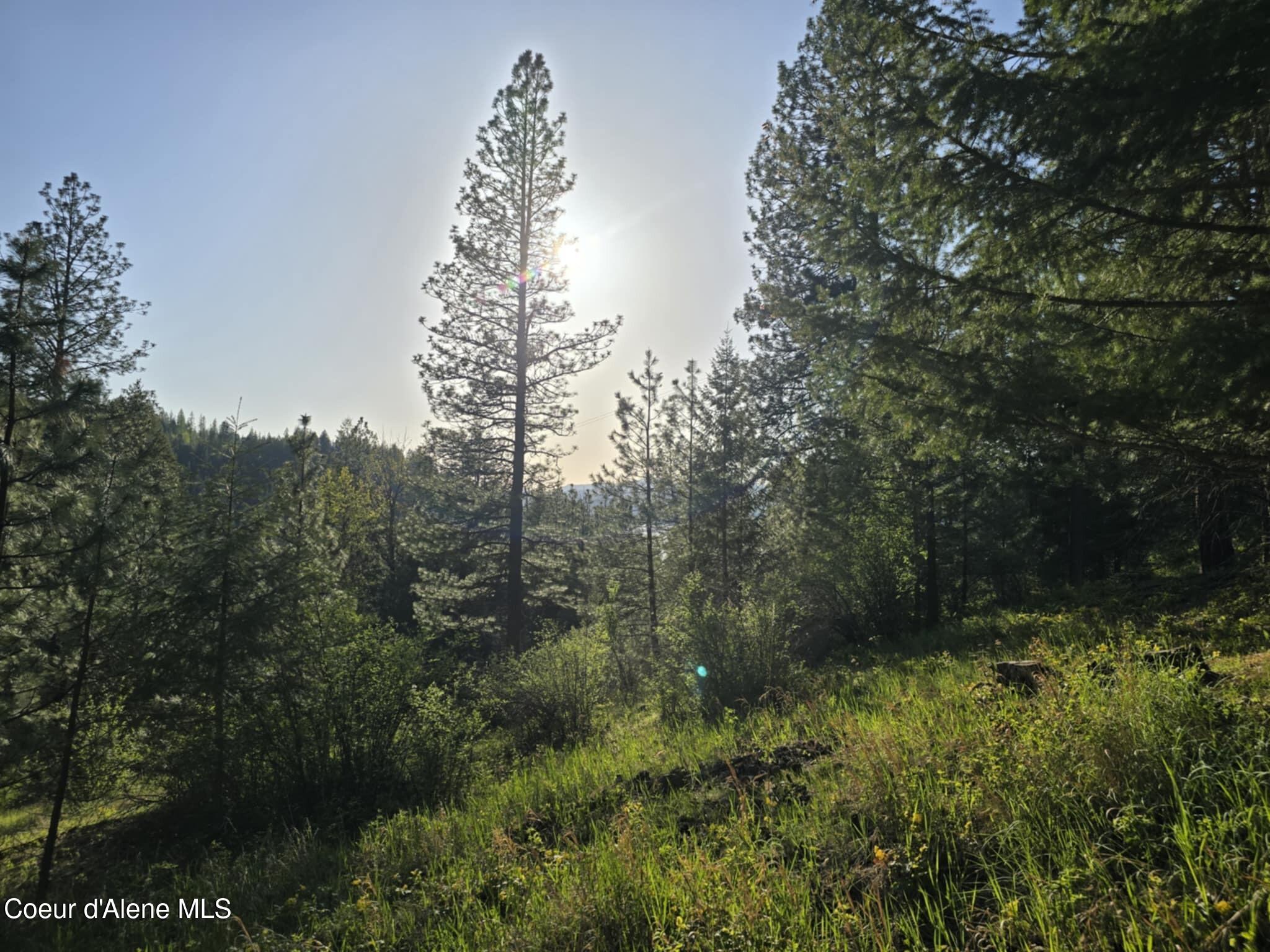 Nka East Deer Road Harrison, ID 83833 - Photo 2 of 23 NKA Deer Rd