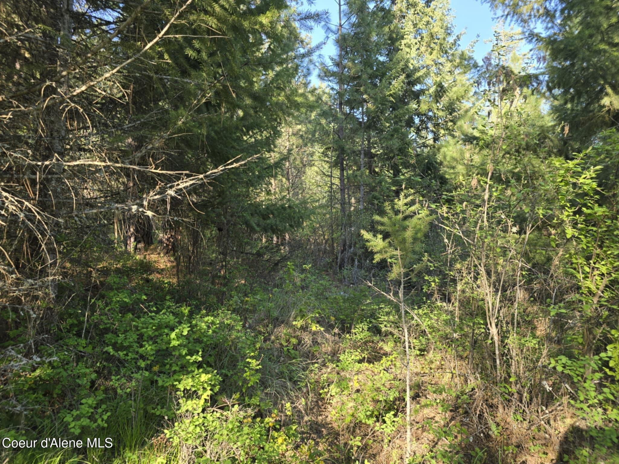 Nka East Deer Road Harrison, ID 83833 - Photo 21 of 23 NKA Deer Rd