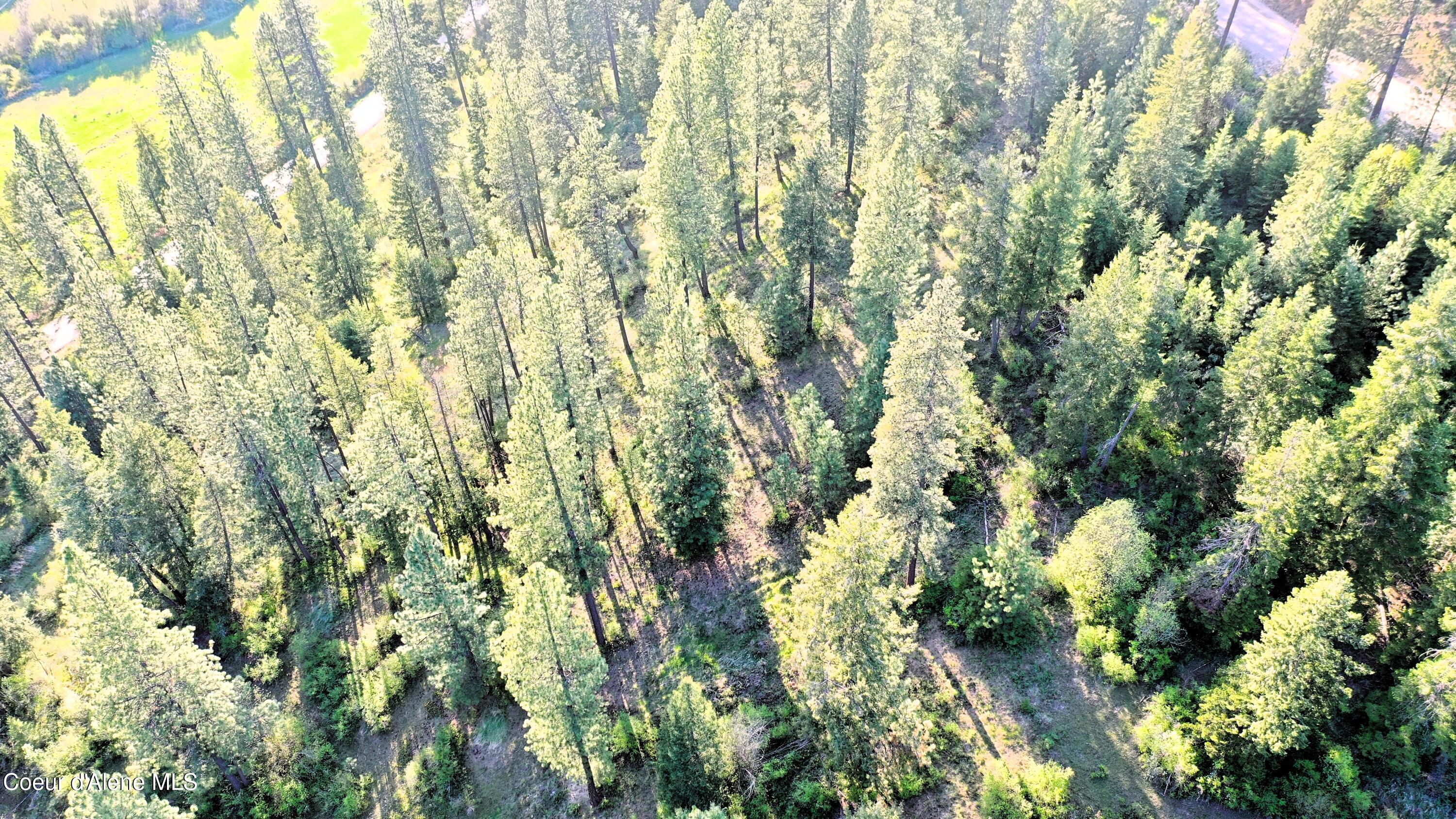 Nka East Deer Road Harrison, ID 83833 - Photo 22 of 23 NKA Deer Rd