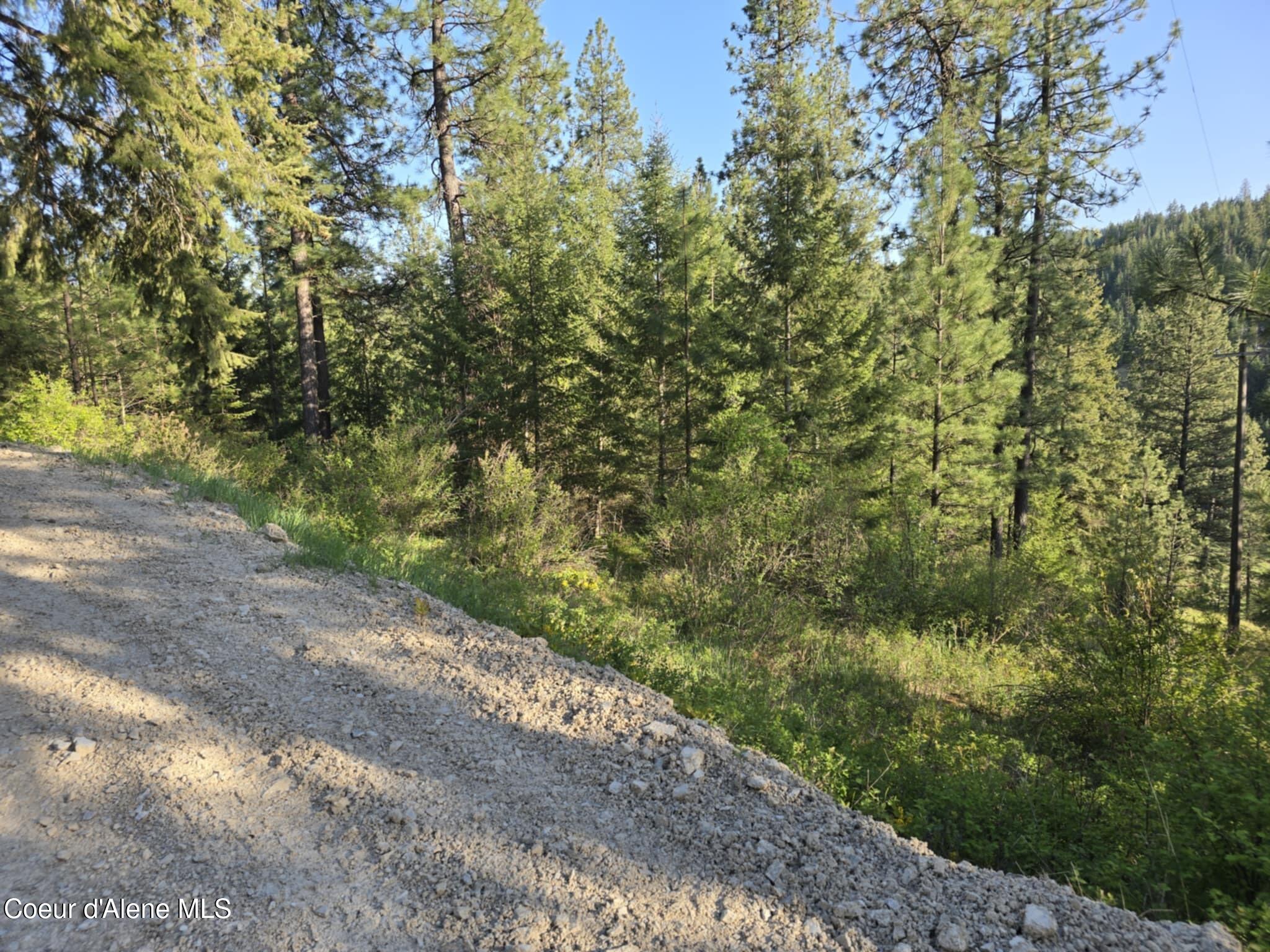 Nka East Deer Road Harrison, ID 83833 - Photo 4 of 23 NKA Deer Rd