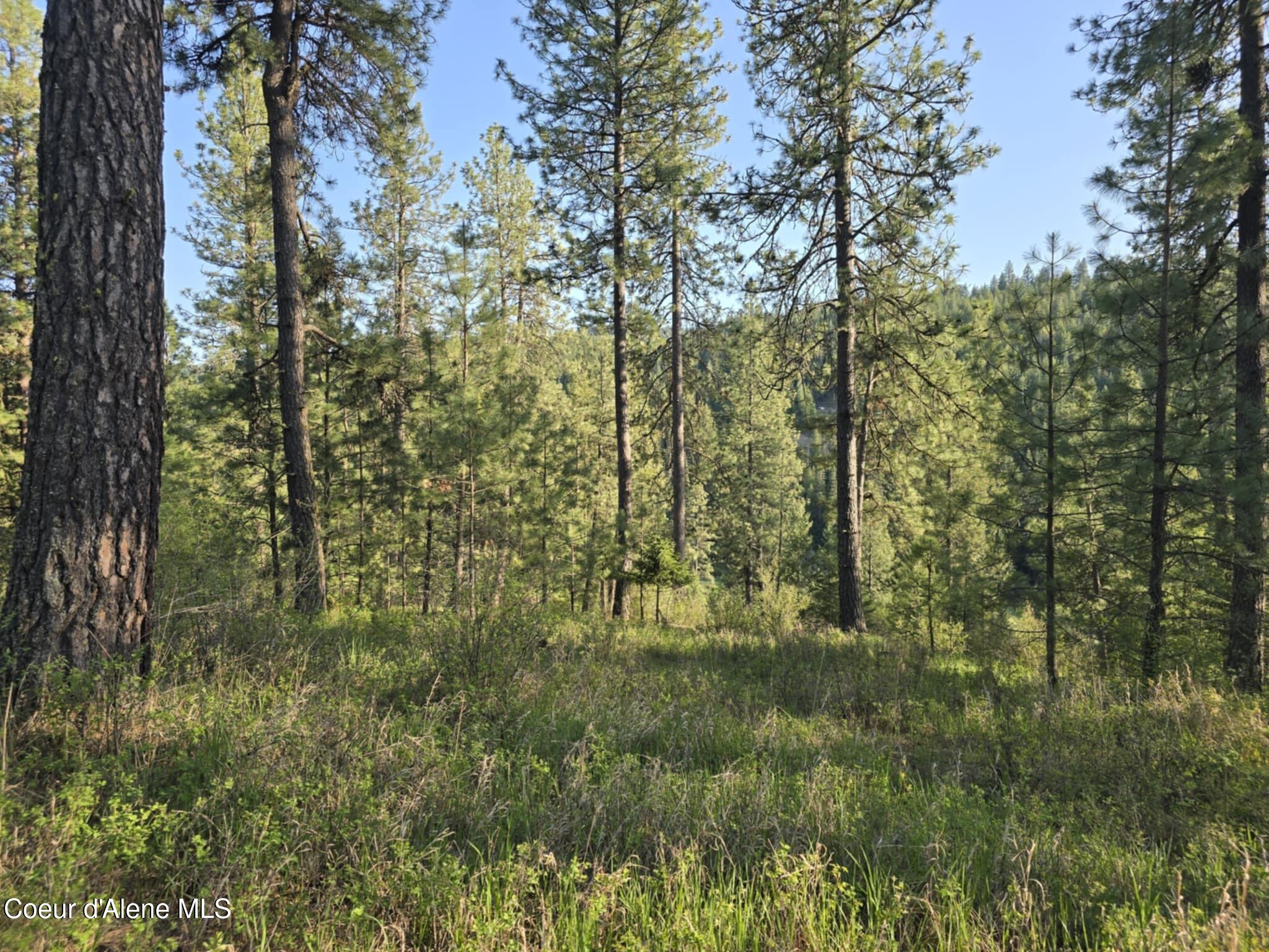 Nka East Deer Road Harrison, ID 83833 - Photo 5 of 23 NKA Deer Rd