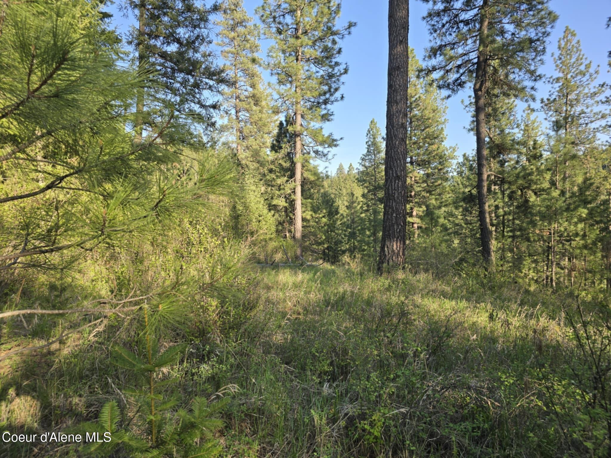 Nka East Deer Road Harrison, ID 83833 - Photo 7 of 23 NKA Deer Rd