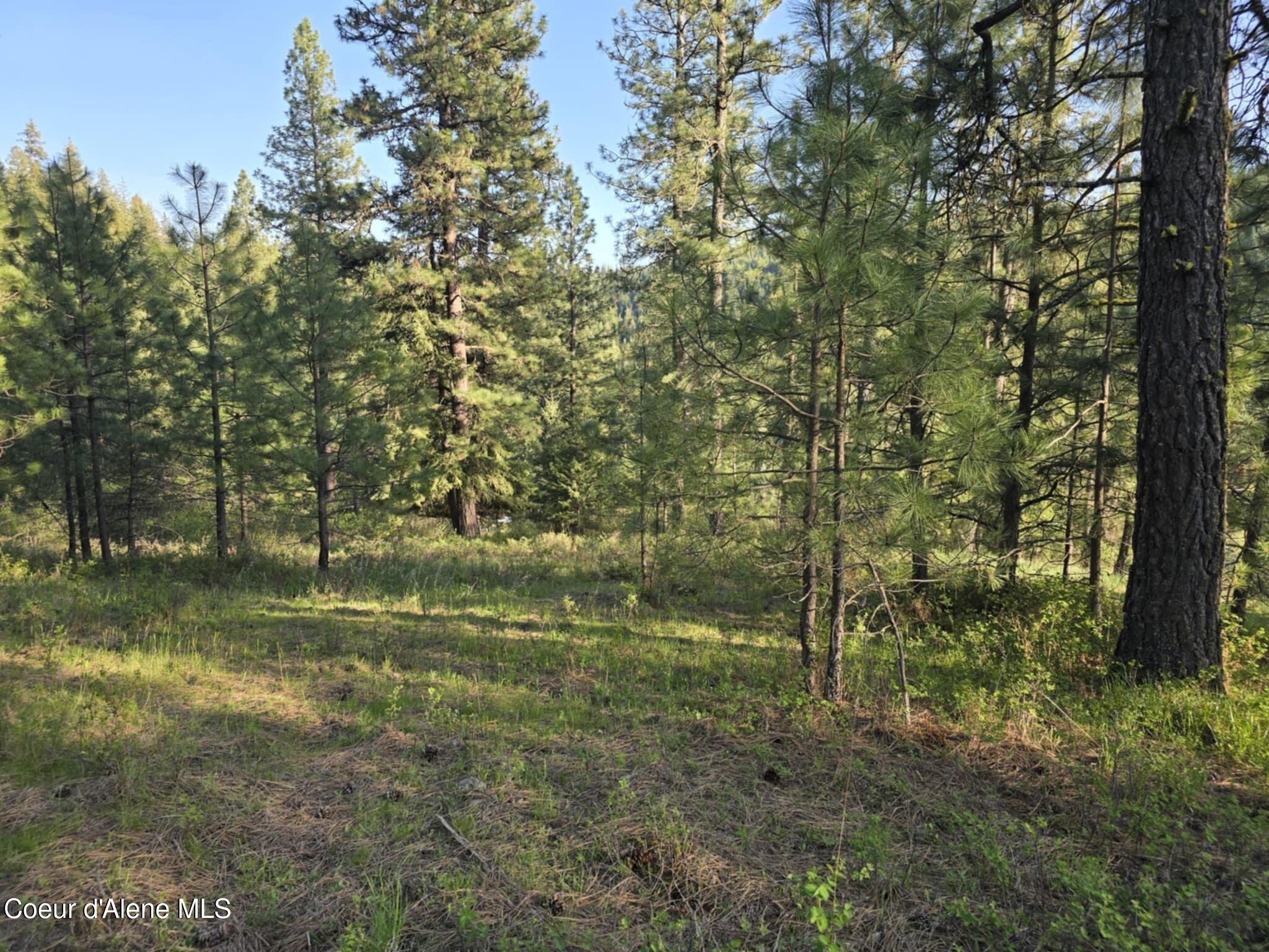 Nka East Deer Road Harrison, ID 83833 - Photo 8 of 23 NKA Deer Rd