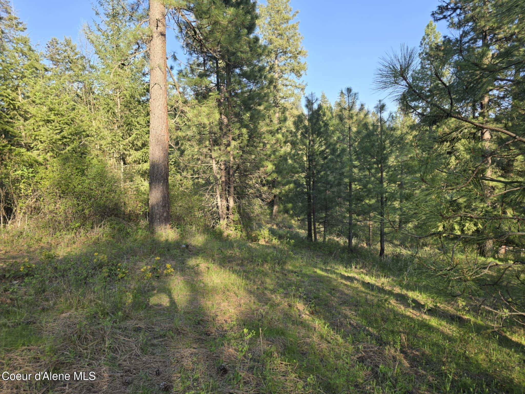 Nka East Deer Road Harrison, ID 83833 - Photo 10 of 23 NKA Deer Rd