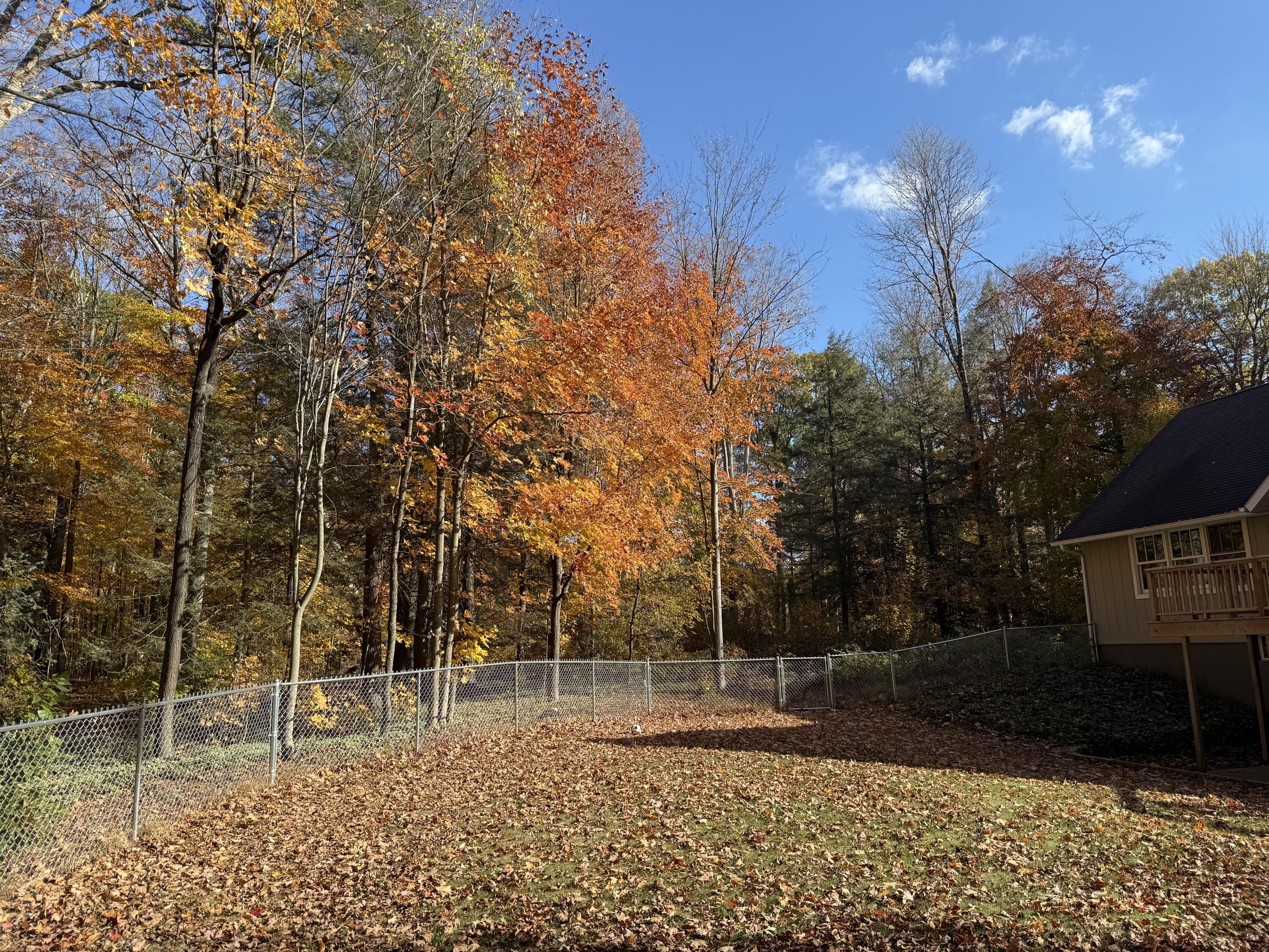 4074 West Roosevelt Road Montague, MI 49437 - Photo 7 of 12 IMG_6512