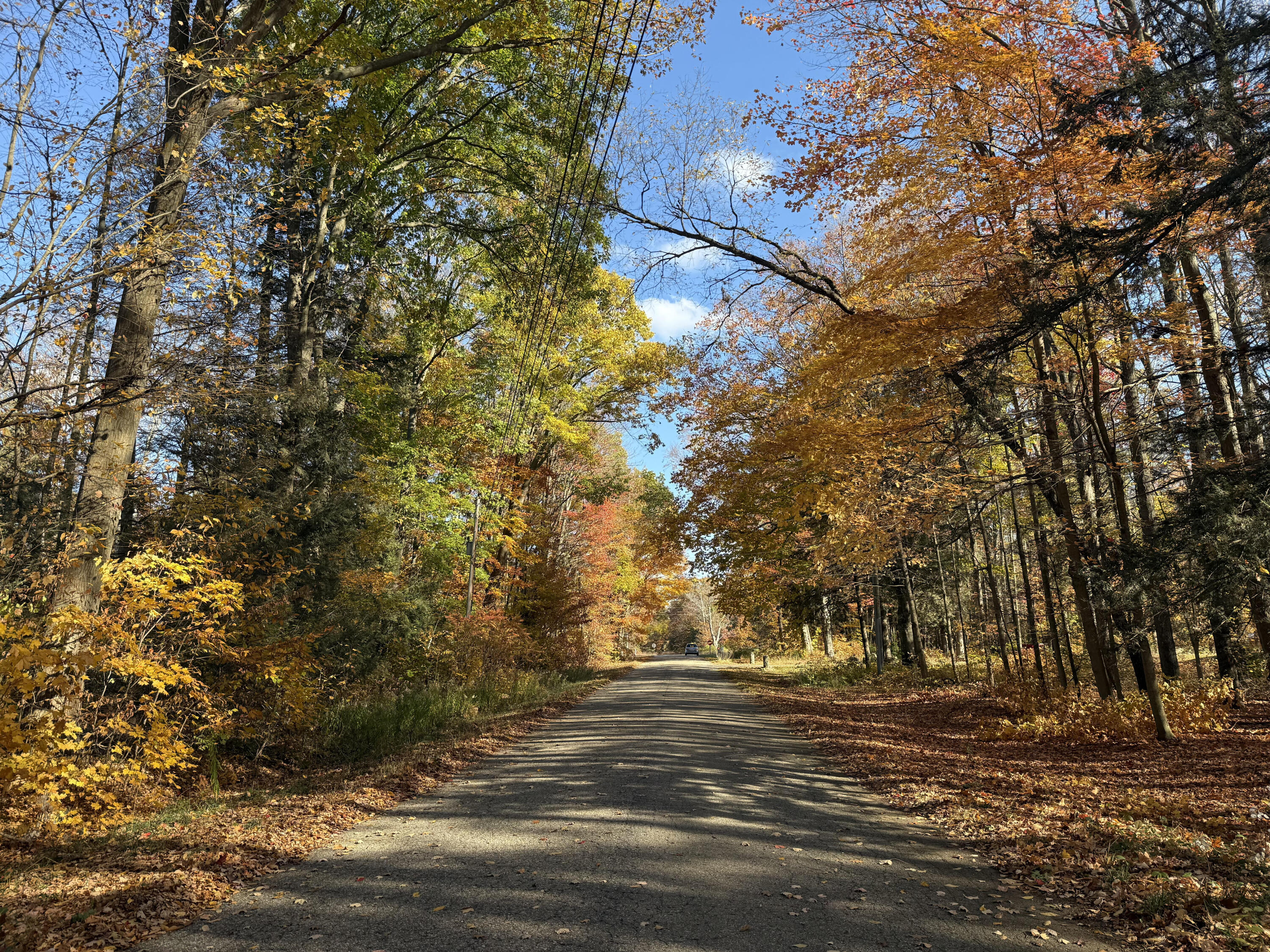 4074 West Roosevelt Road Montague, MI 49437 - Photo 10 of 12 unnamed