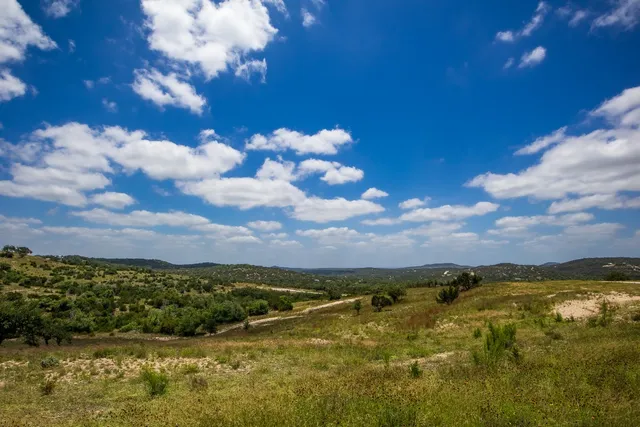 a view of a city with lush green forest
