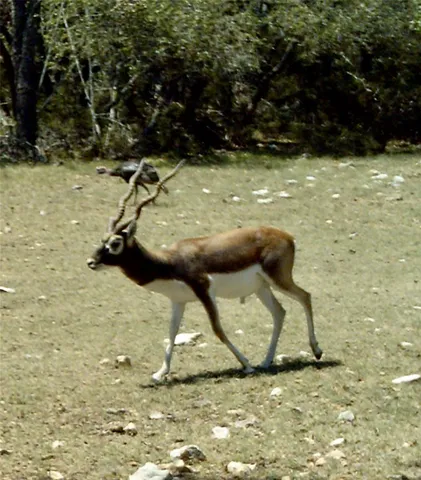 a view of a lake with a house