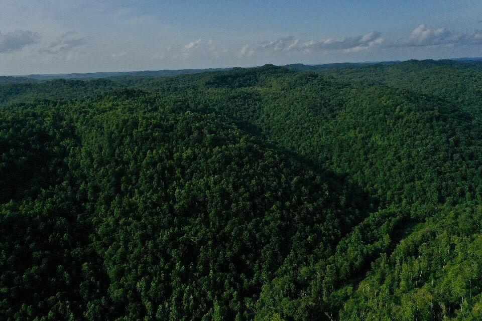 0 Oscar Wagers Road Manchester, KY 40962 - Photo 17 of 57 IMG_7070
