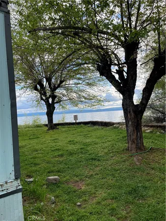 a view of yard with tree in the background
