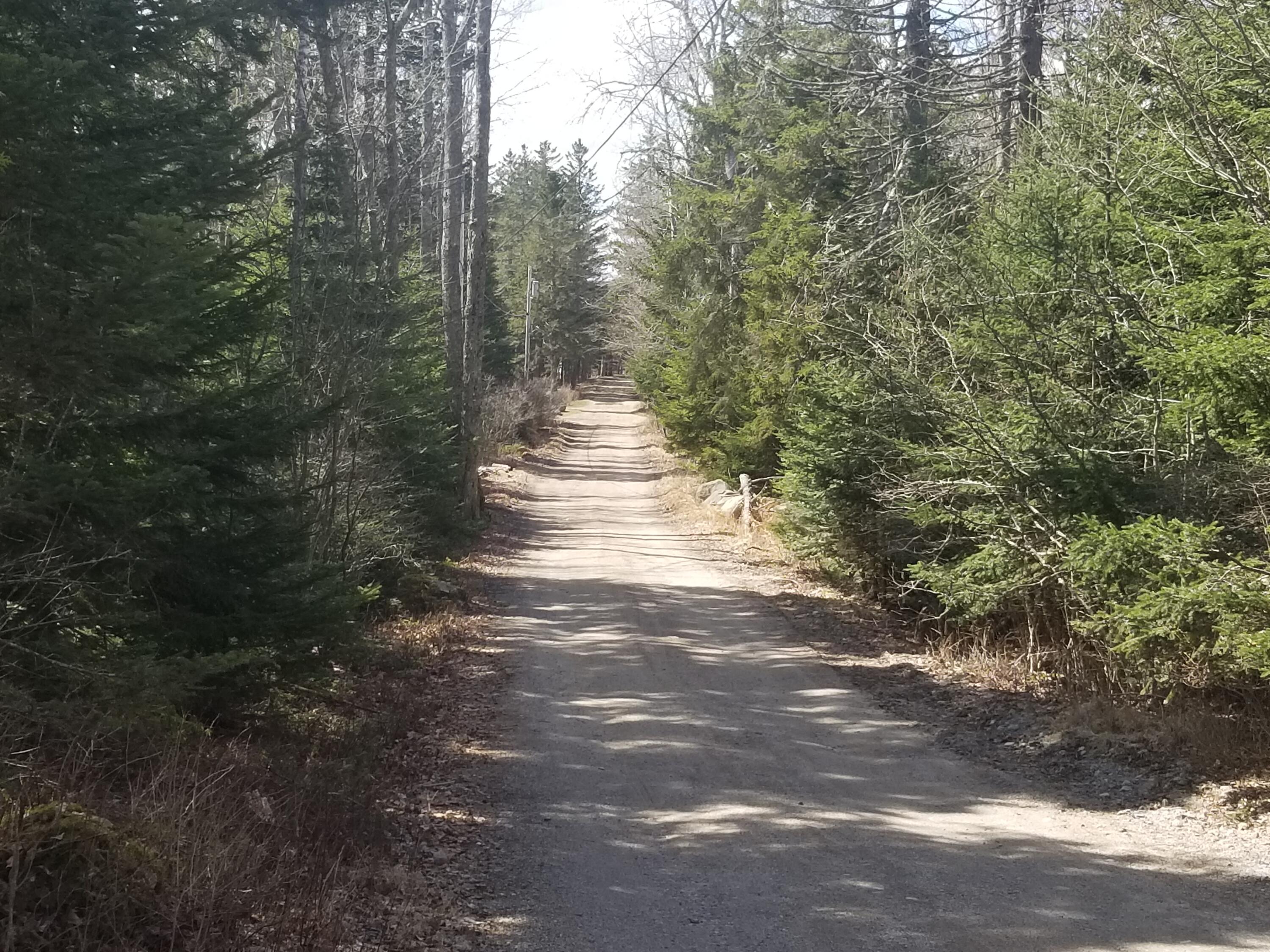 428 Rogers Point Road Steuben, ME 04680 - Photo 5 of 60 Telegraph Road