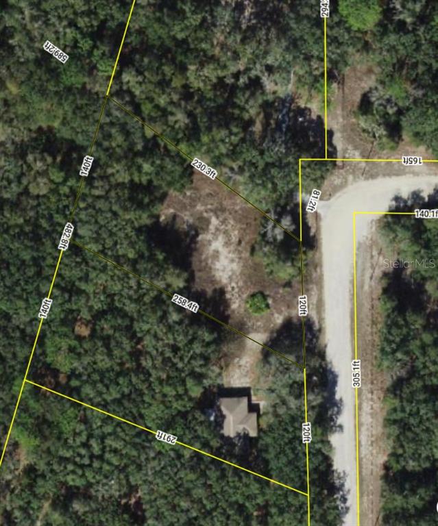 34331 Rimrock Street Webster, FL 33597 - Photo 3 of 9 a view of forest