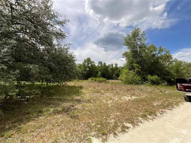 a view of a yard with a tree