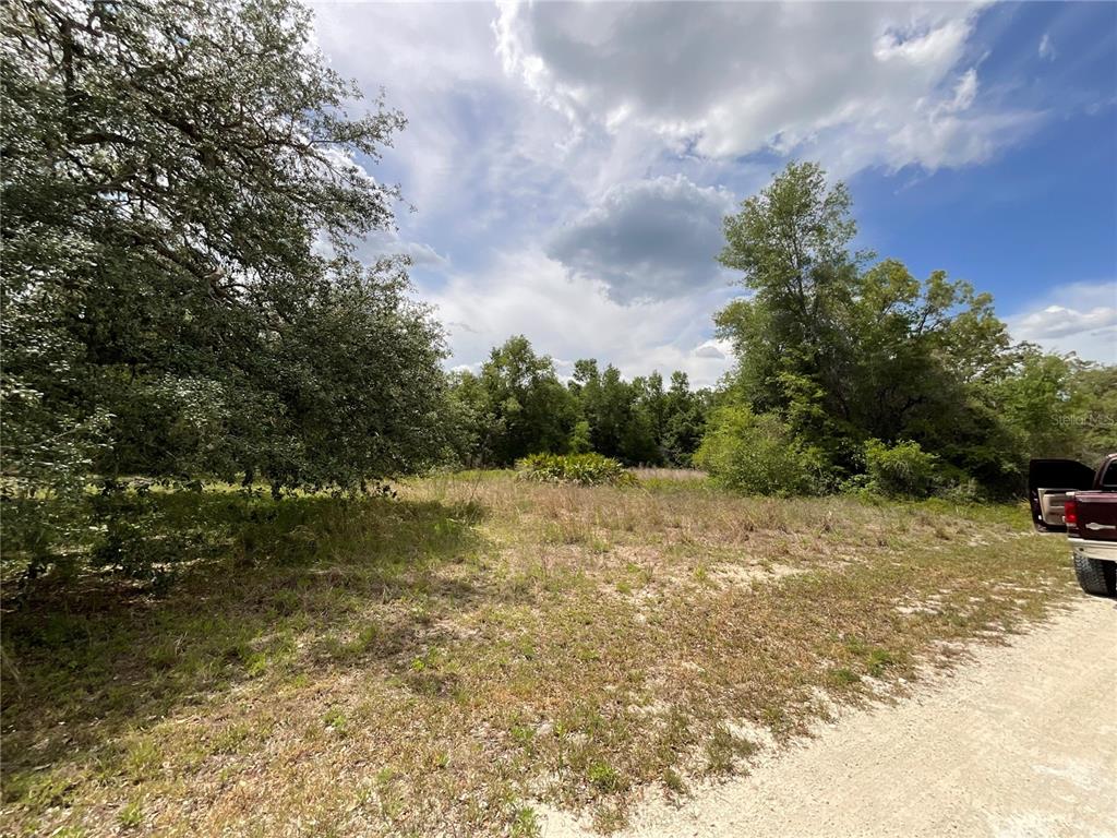 34331 Rimrock Street Webster, FL 33597 - Photo 5 of 9 a view of outdoor space with trees all around