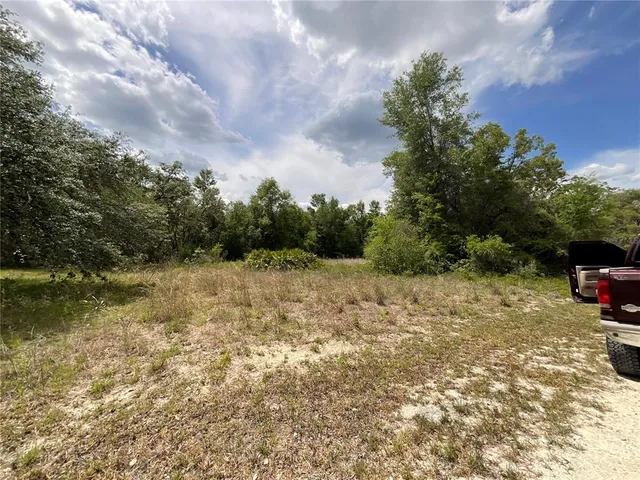 a view of a yard with plants and trees
