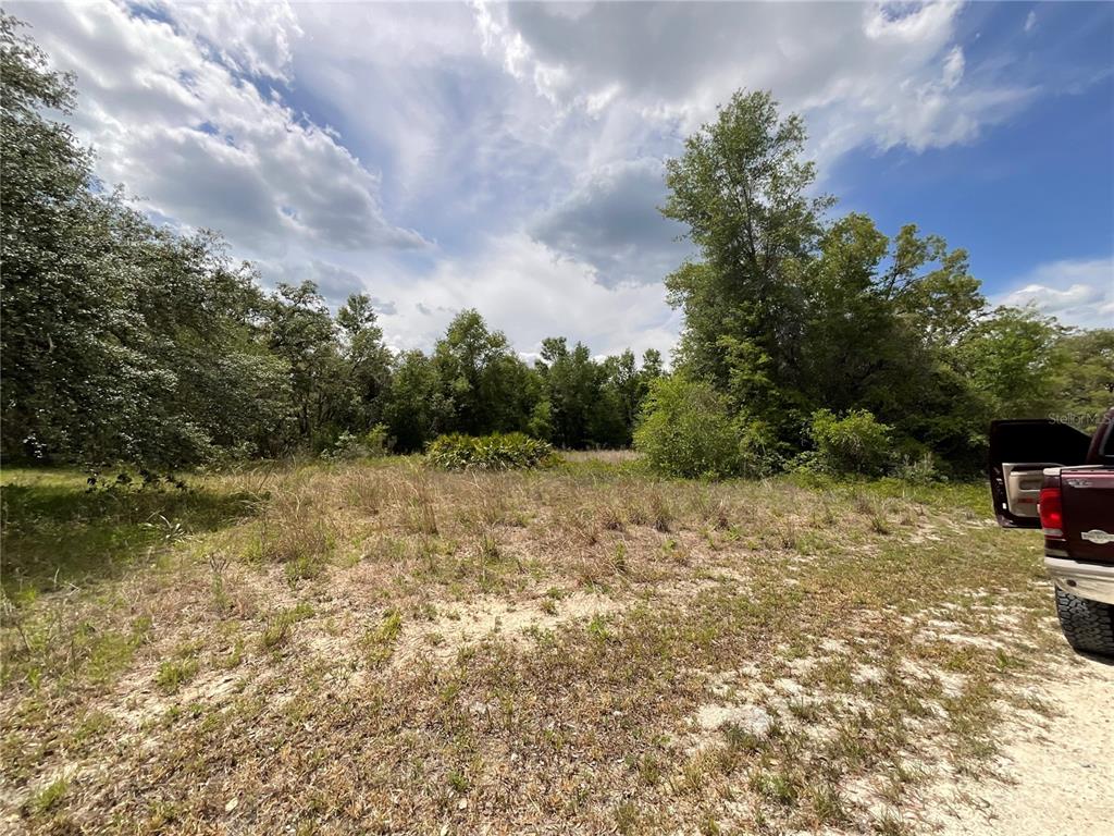 34331 Rimrock Street Webster, FL 33597 - Photo 6 of 9 a view of a backyard