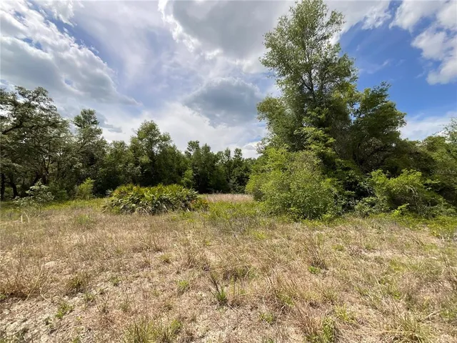 $30,000 | 34331 Rimrock Street, Webster, FL 33597