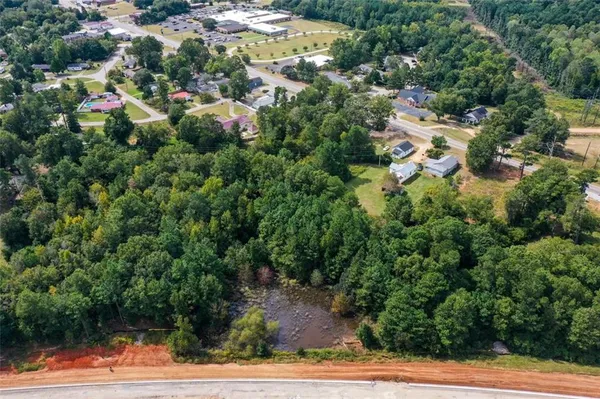 a view of a garden with plants