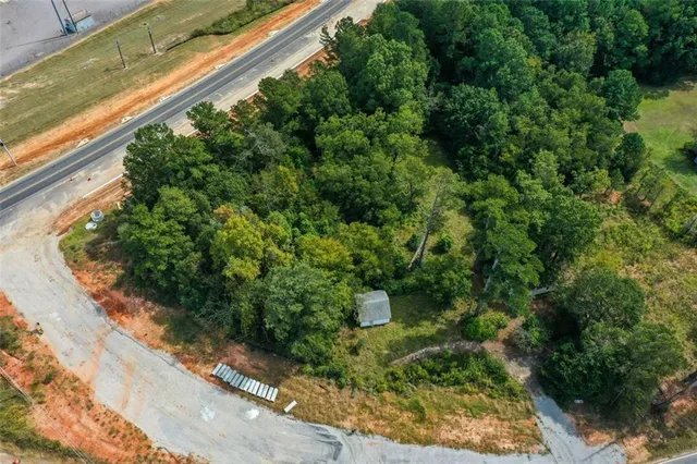 a view of a garden with plants