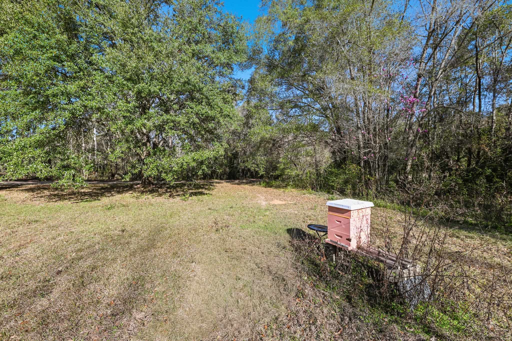 8702 Miles Johnson Road Tallahassee, FL 32309 - Photo 22 of 28