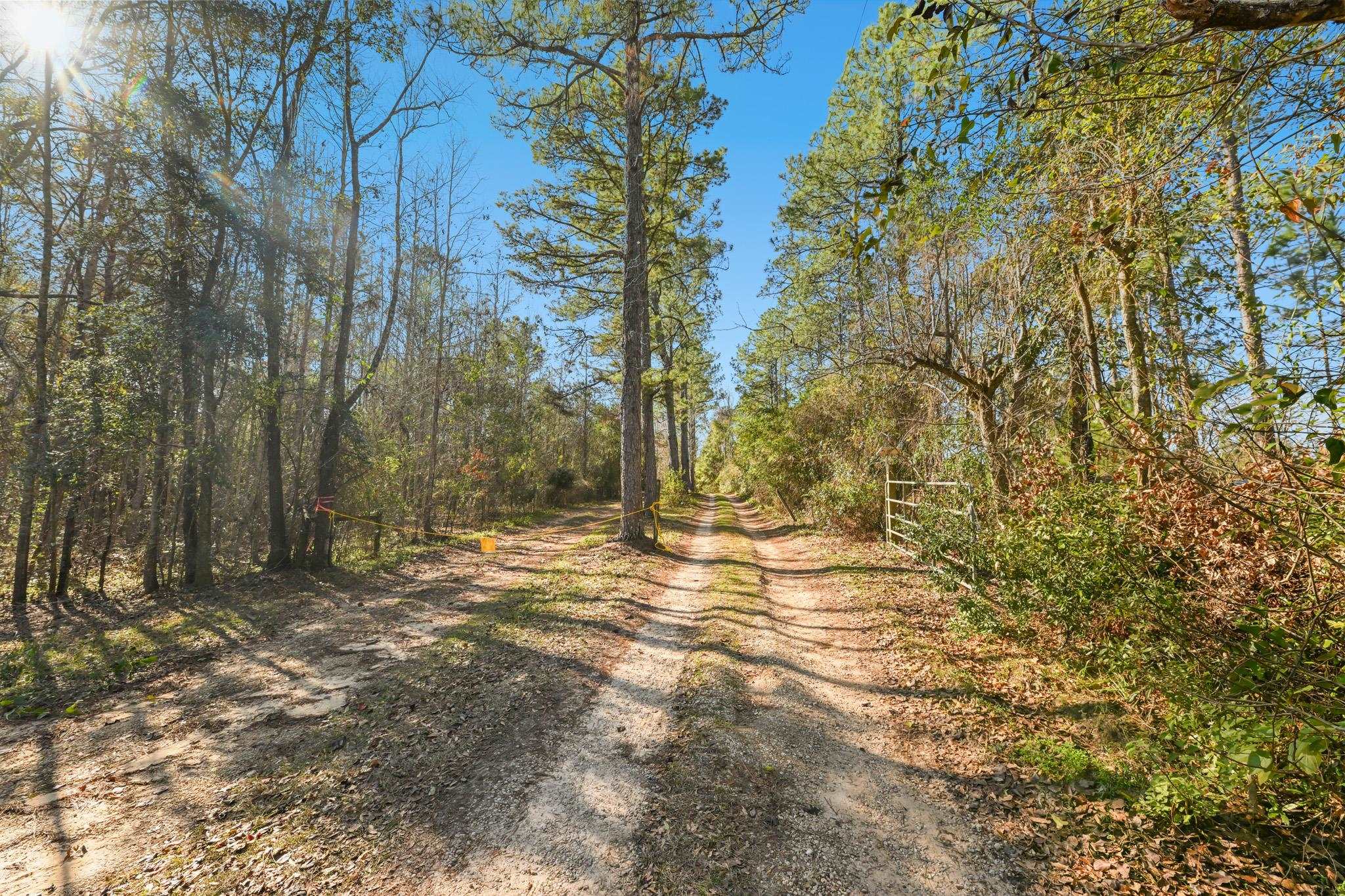 8702 Miles Johnson Road Tallahassee, FL 32309 - Photo 24 of 28