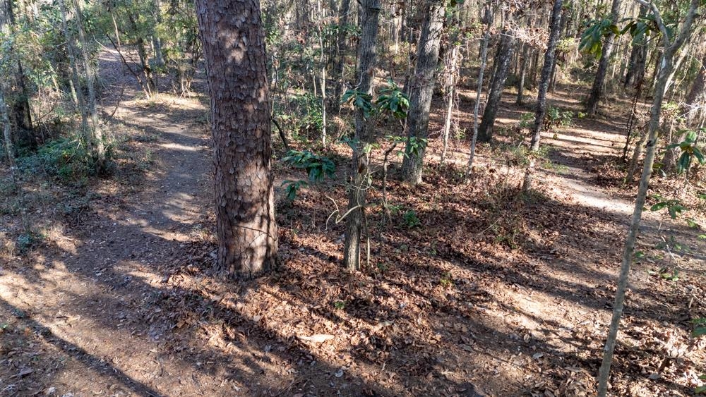 8702 Miles Johnson Road Tallahassee, FL 32309 - Photo 5 of 28