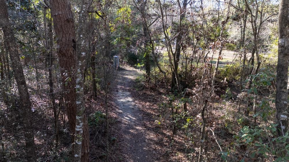 8702 Miles Johnson Road Tallahassee, FL 32309 - Photo 6 of 28