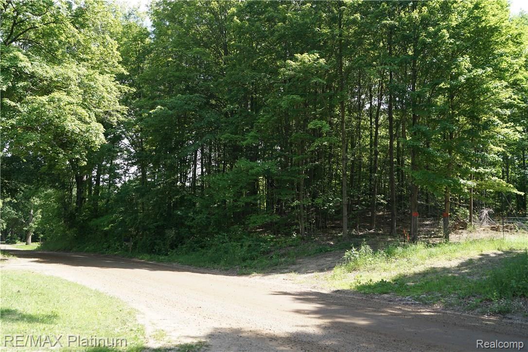 20899 Barton Road Pinckney, MI 48169 - Photo 29 of 30 DSC02158.JPG