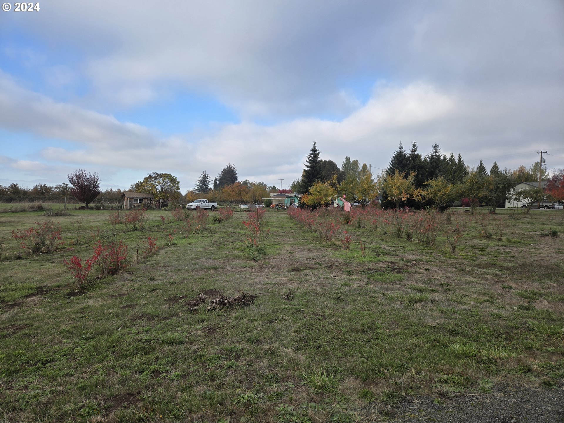 91818 Prairie Road Junction City, OR 97448 - Photo 3 of 44 Gallery Image 3
