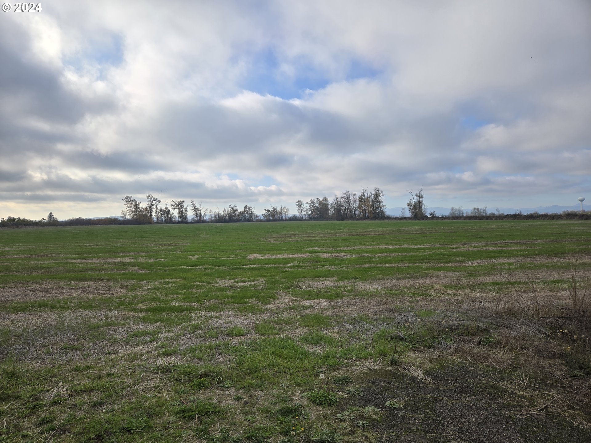 91818 Prairie Road Junction City, OR 97448 - Photo 4 of 44 Gallery Image 4
