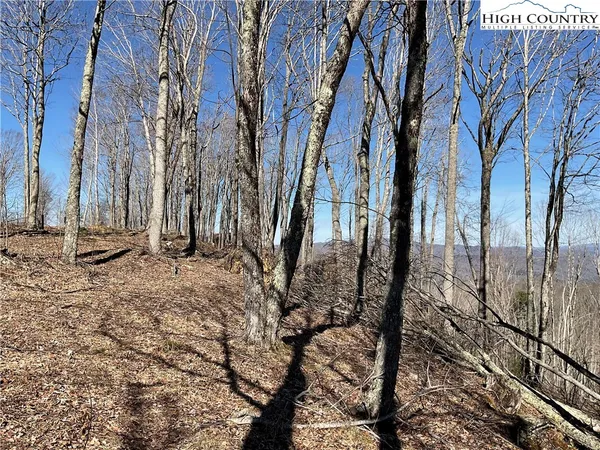 $125,000 | Tbd Lot 4 Tbd Road, Elk Park, NC 28622