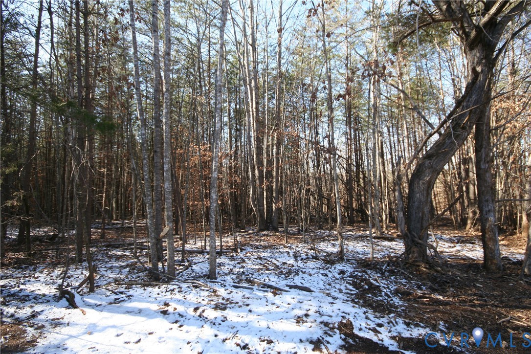 B Slate River Mill Road Dillwyn, VA 23936 - Photo 11 of 14 a view of outdoor space with lots of trees