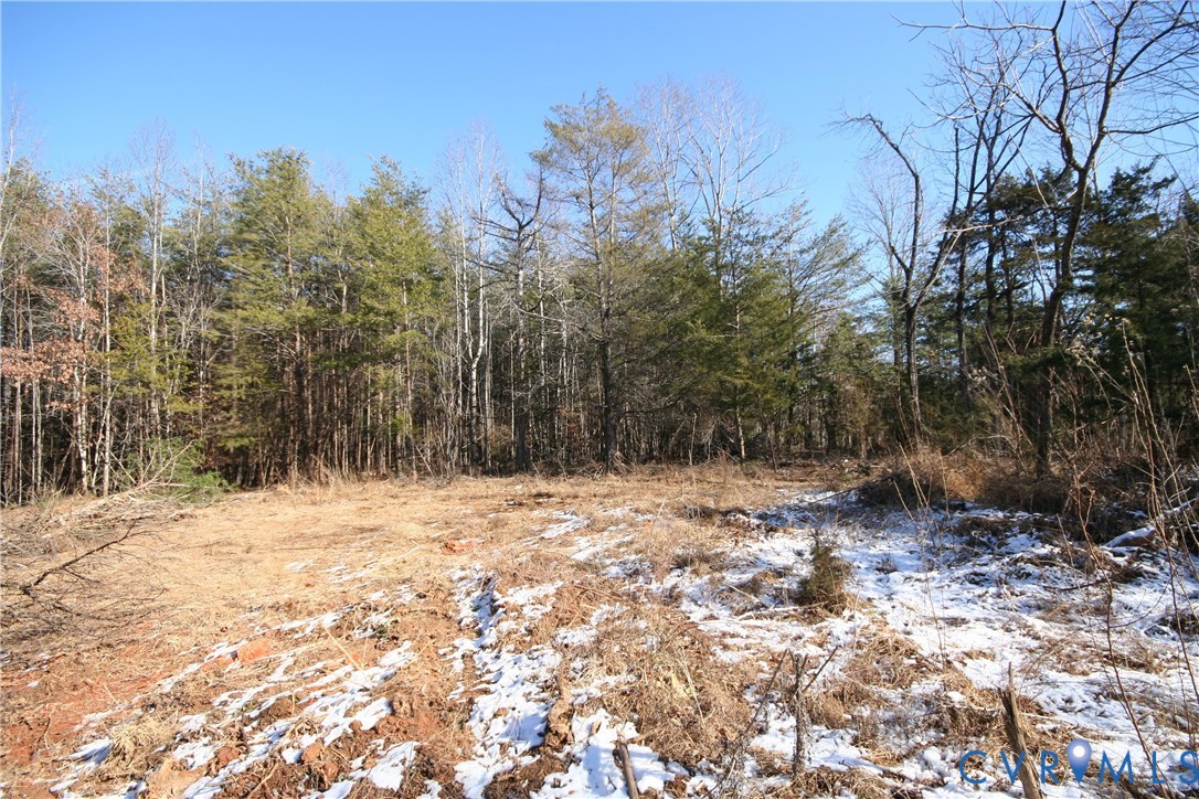 B Slate River Mill Road Dillwyn, VA 23936 - Photo 13 of 14 a view of road and trees