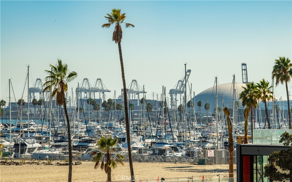 615 East Broadway, Unit 204 Long Beach, CA 90802 - Photo 23 of 27 a view of a city with tall buildings