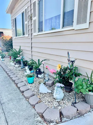 a view of a garden with a chair
