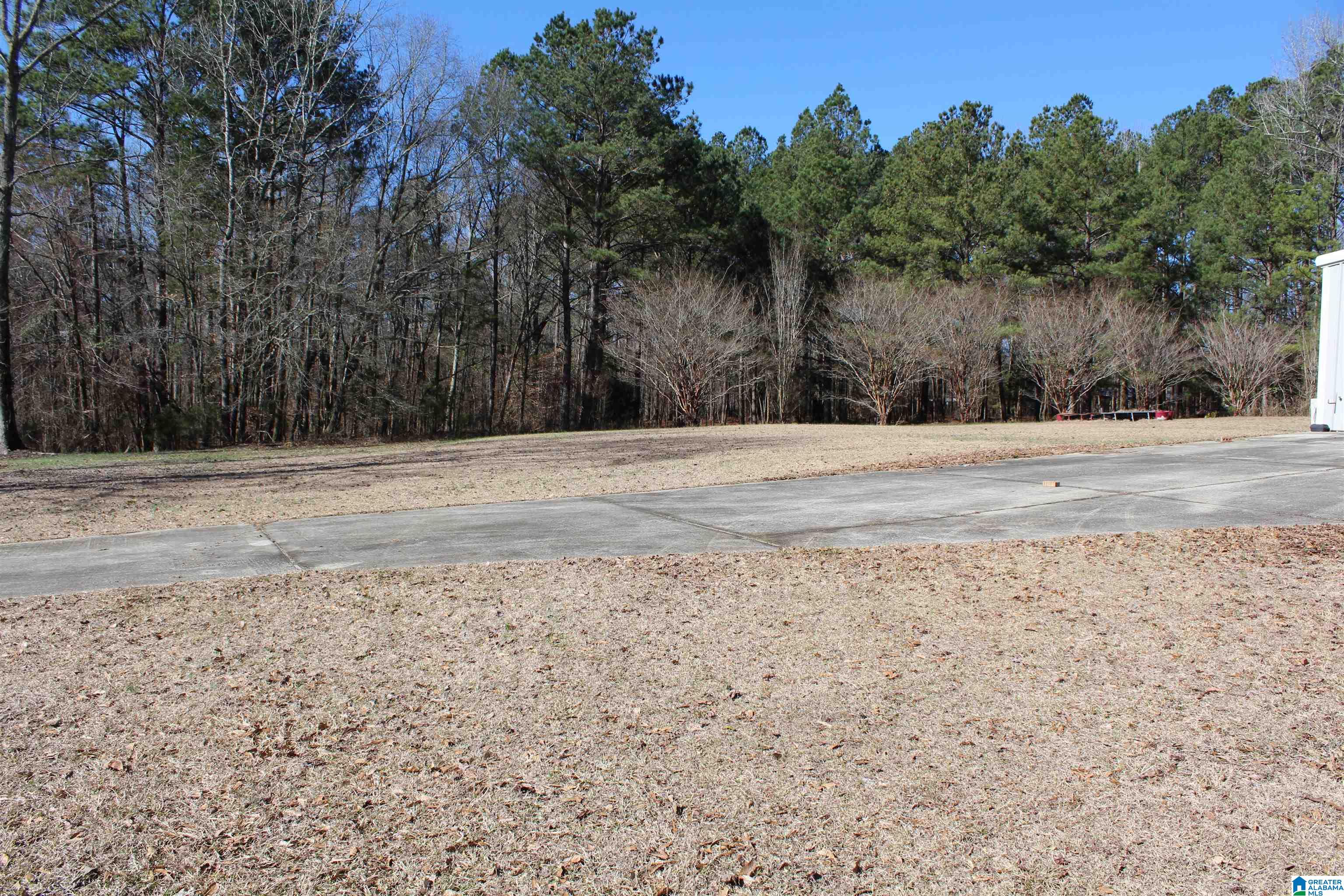 83 Brooks Road Ragland, AL 35131 - Photo 26 of 27