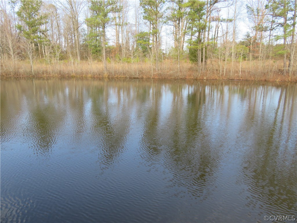 36169 Faison Road Wakefield, VA 23888 - Photo 31 of 45 Gallery Image 31